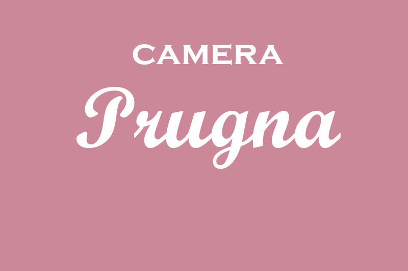 Prugna